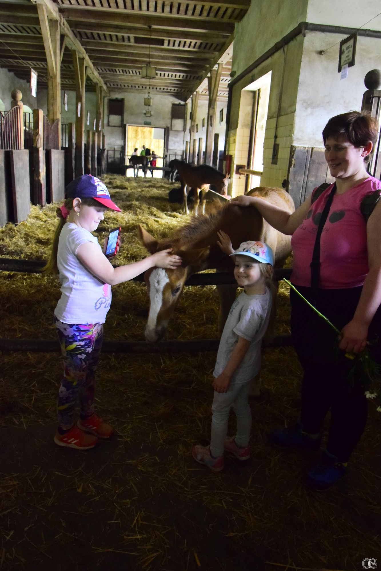 Sciezka Hochbergow 10.jpg